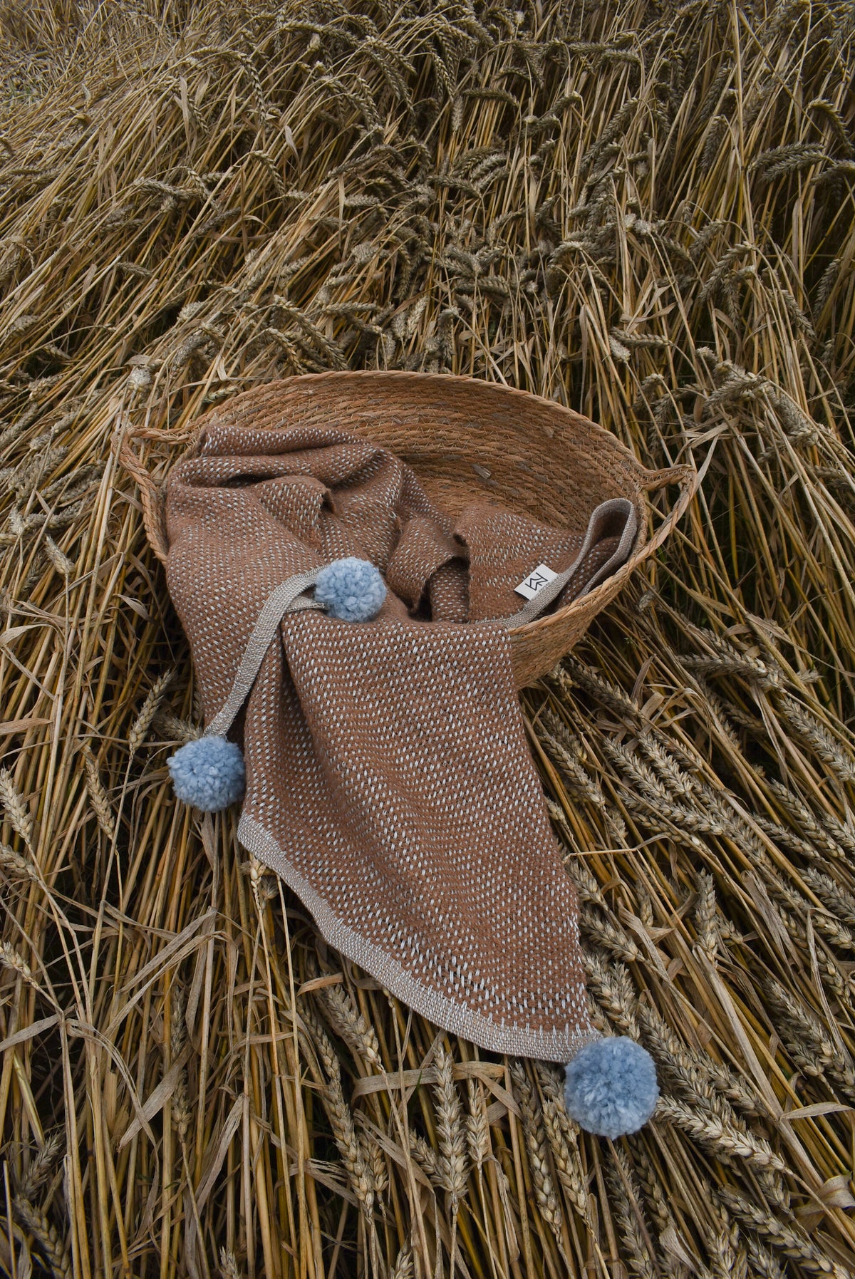 Baby blanket Wild Cat