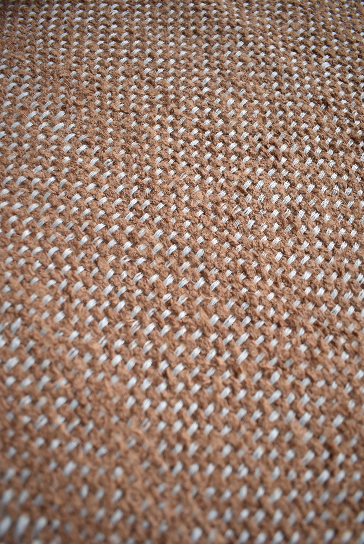 Baby blanket Wild Cat